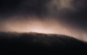 photo-1642619588795-ad778245ad4d
