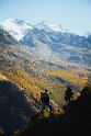 photo-1547203928-d8c7cc83e56f